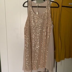 BNWT sequined tank dress